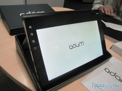 adam_400