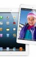 Az iPad mini az iPad babérjaira tör
